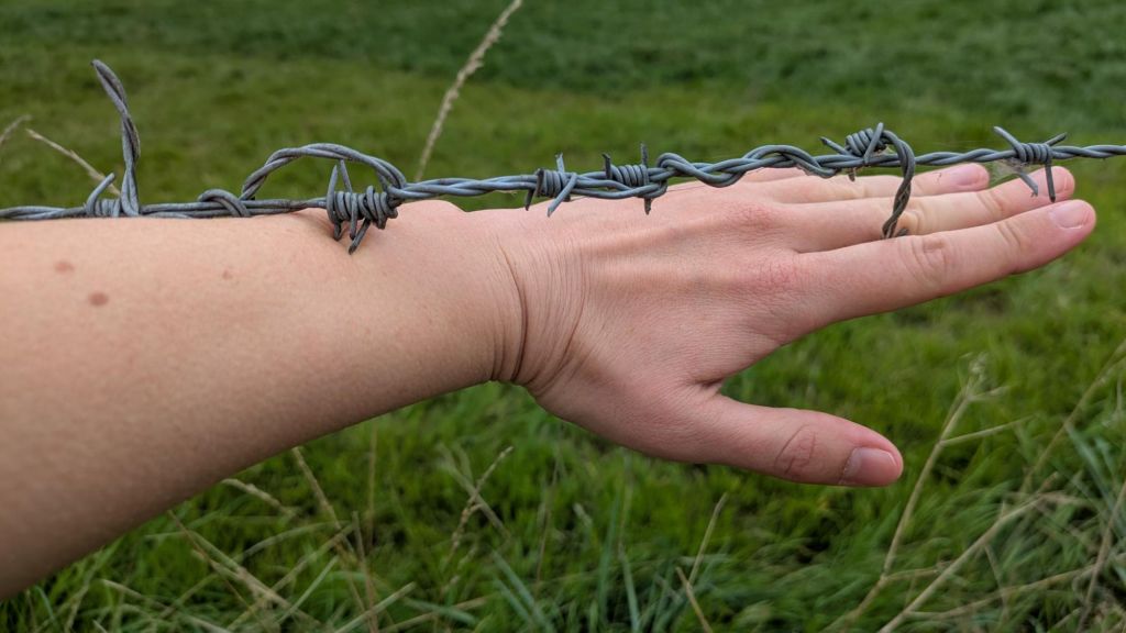 wp-17554385619858581177693053447243