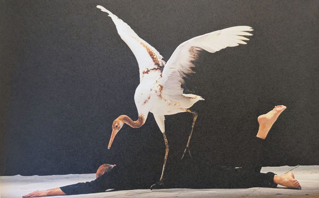 pxl_20251117_14480221521752169780973243591.