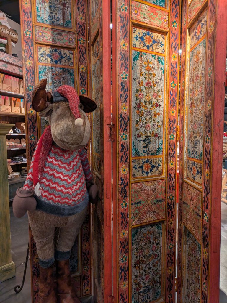 pxl_20251221_165811313637126597532295356