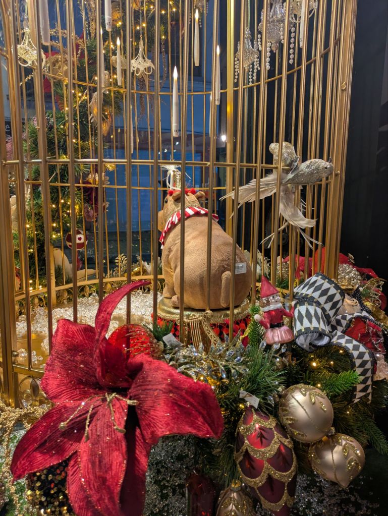 pxl_20251221_17014560446300755981492874