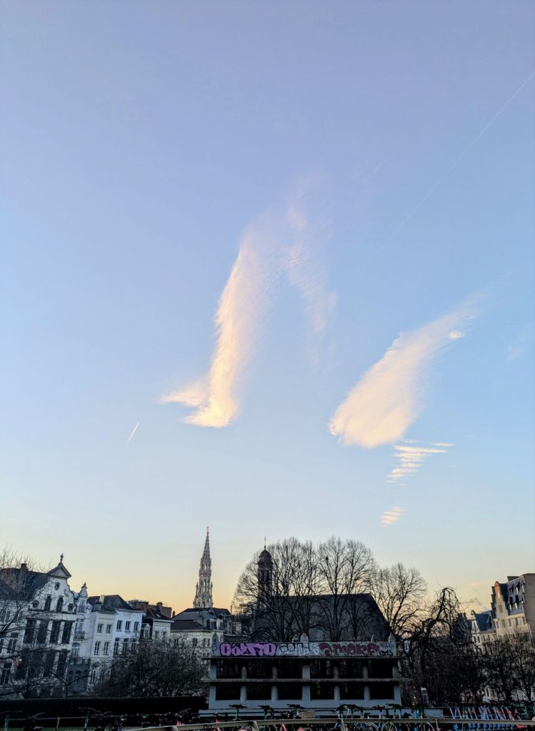 pxl_20251226_153144523~28177959138666359566.