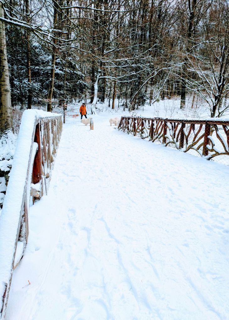 pxl_20260107_111545629~34564467829288964231.