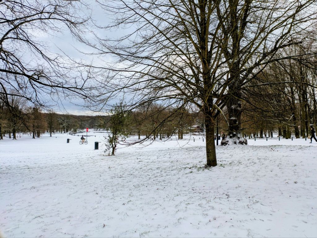 pxl_20260107_112341681~26737471034904974628.