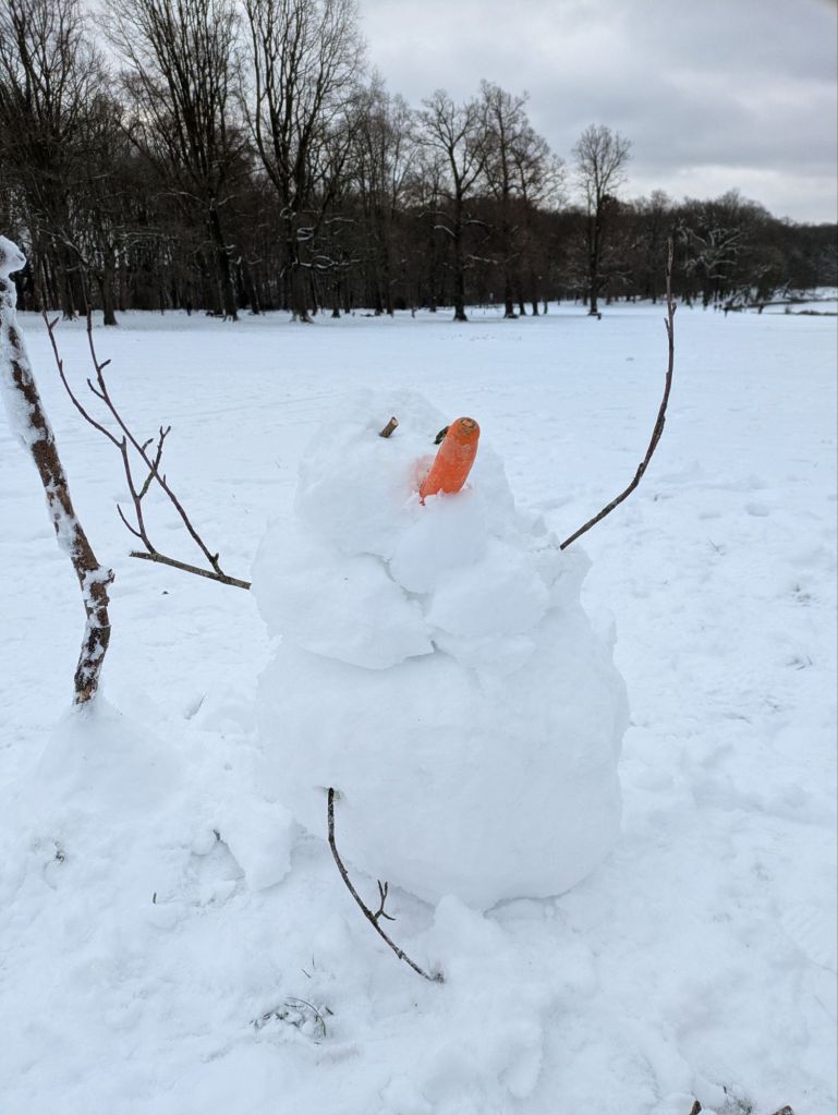 pxl_20260107_1137536828692596189596057700